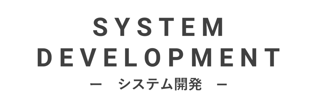 システム開発
